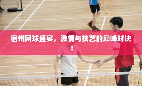 宿州網球盛宴，激情與技藝的巔峰對決！
