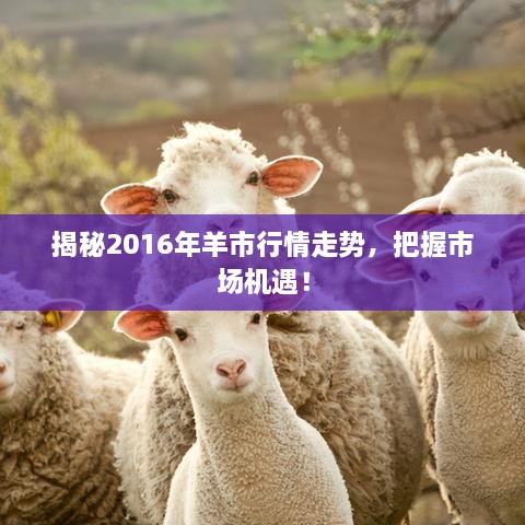 揭秘2016年羊市行情走勢，把握市場機遇！