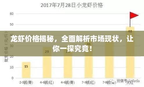 龍蝦價格揭秘，全面解析市場現(xiàn)狀，讓你一探究竟！