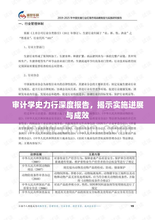 審計(jì)學(xué)史力行深度報(bào)告，揭示實(shí)施進(jìn)展與成效