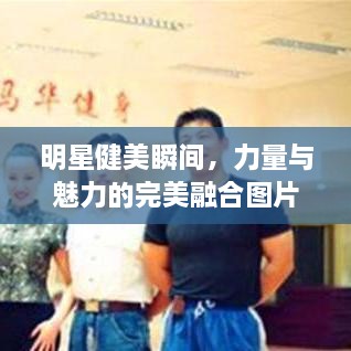 明星健美瞬間，力量與魅力的完美融合圖片展示