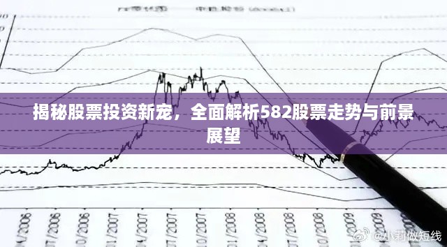 揭秘股票投資新寵，全面解析582股票走勢(shì)與前景展望