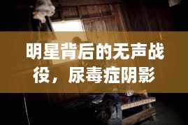 明星背后的無(wú)聲戰(zhàn)役，尿毒癥陰影下的星光挑戰(zhàn)
