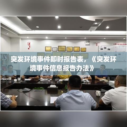 突發(fā)環(huán)境事件即時(shí)報(bào)告表，《突發(fā)環(huán)境事件信息報(bào)告辦法》 