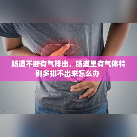 腸道不斷有氣排出，腸道里有氣體特別多排不出來(lái)怎么辦 