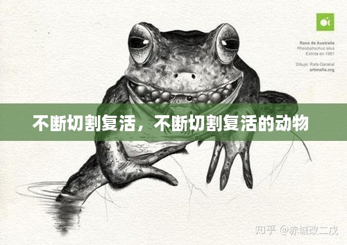 不斷切割復(fù)活，不斷切割復(fù)活的動(dòng)物 