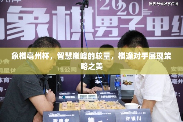 象棋亳州杯，智慧巔峰的較量，棋逢對手展現(xiàn)策略之美