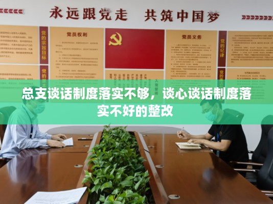 總支談話(huà)制度落實(shí)不夠，談心談話(huà)制度落實(shí)不好的整改 