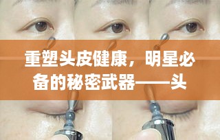 重塑頭皮健康，明星必備的秘密武器——頭皮精華