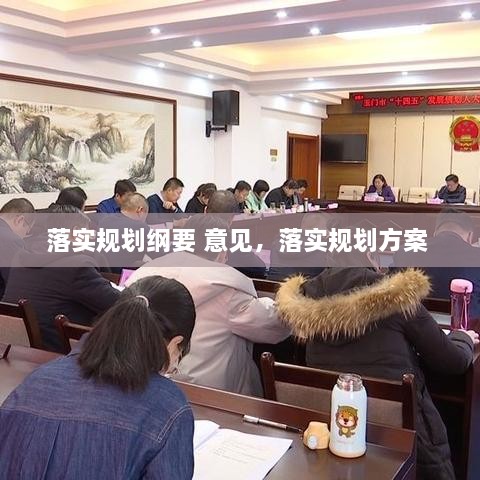 落實(shí)規(guī)劃綱要 意見，落實(shí)規(guī)劃方案 