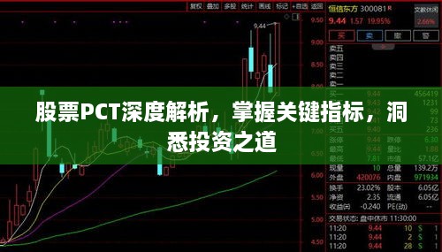股票PCT深度解析，掌握關(guān)鍵指標(biāo)，洞悉投資之道
