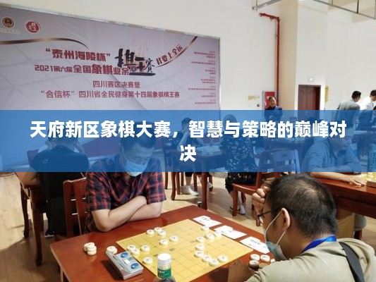 天府新區(qū)象棋大賽，智慧與策略的巔峰對決