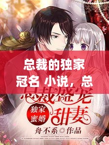 總裁的獨家冠名 小說，總裁的獨家盛寵全文免費閱讀 