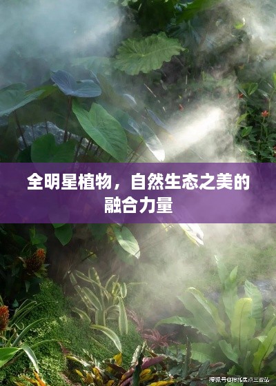 全明星植物，自然生態(tài)之美的融合力量