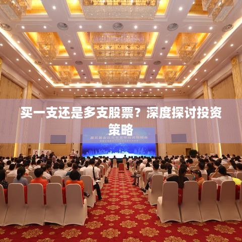 買一支還是多支股票？深度探討投資策略