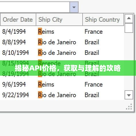 揭秘API價(jià)格，獲取與理解的攻略