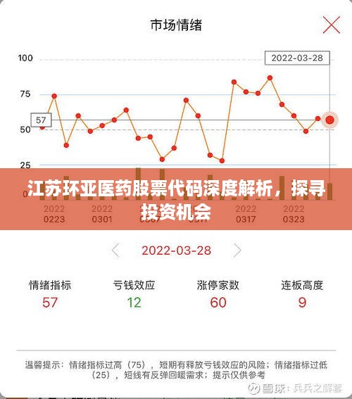 江蘇環(huán)亞醫(yī)藥股票代碼深度解析，探尋投資機(jī)會(huì)
