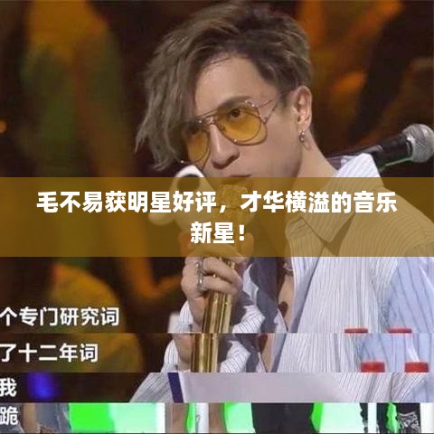 毛不易獲明星好評，才華橫溢的音樂新星！