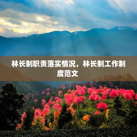 林長制職責(zé)落實(shí)情況，林長制工作制度范文 