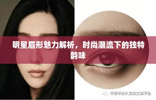 明星眉形魅力解析，時尚潮流下的獨特韻味