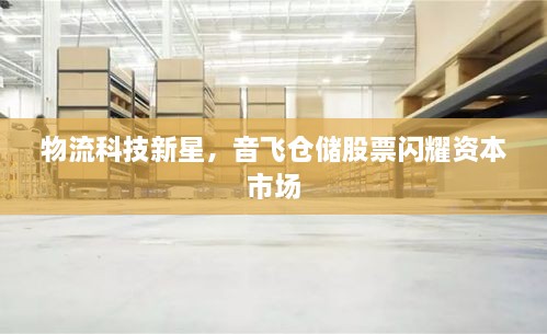 物流科技新星，音飛倉(cāng)儲(chǔ)股票閃耀資本市場(chǎng)