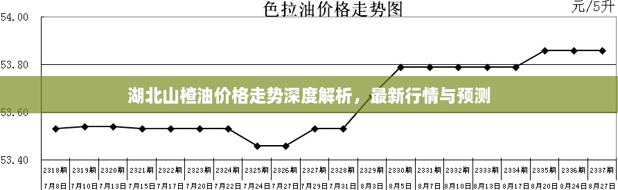 湖北山楂油價(jià)格走勢(shì)深度解析，最新行情與預(yù)測(cè)
