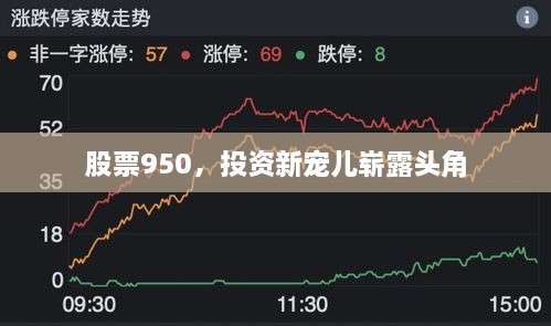 股票950，投資新寵兒嶄露頭角