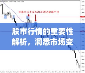 股市行情的重要性解析，洞悉市場變化的關(guān)鍵所在！