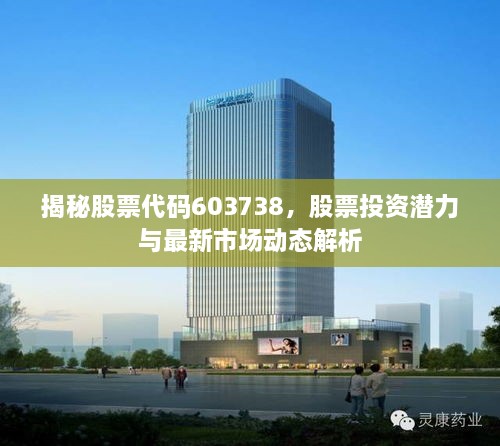 揭秘股票代碼603738，股票投資潛力與最新市場動態(tài)解析