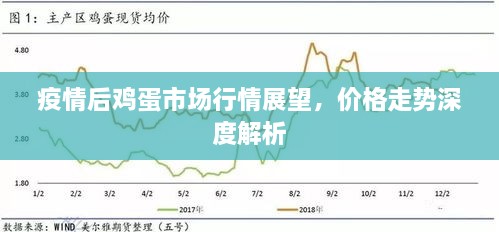 疫情后雞蛋市場行情展望，價格走勢深度解析