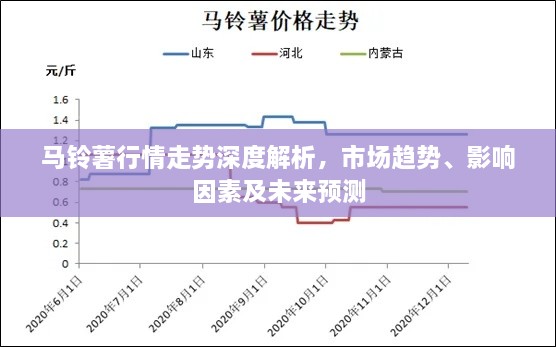 馬鈴薯行情走勢深度解析，市場趨勢、影響因素及未來預(yù)測