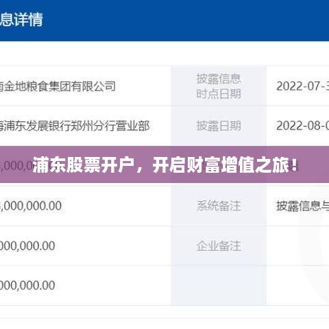 浦東股票開(kāi)戶，開(kāi)啟財(cái)富增值之旅！