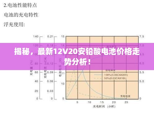 揭秘，最新12V20安鉛酸電池價(jià)格走勢(shì)分析！