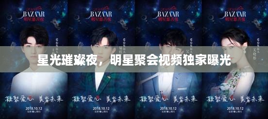 星光璀璨夜，明星聚會視頻獨(dú)家曝光