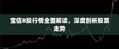 寶信B股行情全面解讀，深度剖析股票走勢