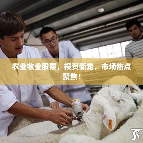 農(nóng)業(yè)牧業(yè)股票，投資新寵，市場(chǎng)熱點(diǎn)聚焦！