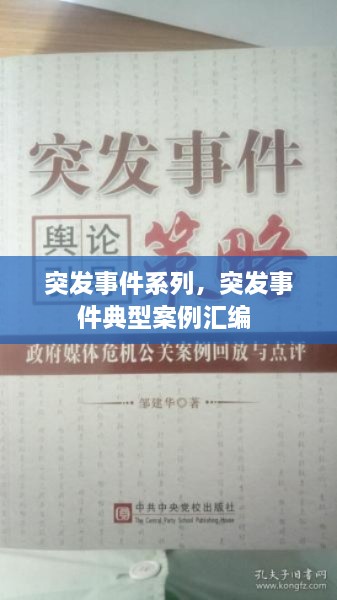 突發(fā)事件系列，突發(fā)事件典型案例匯編 