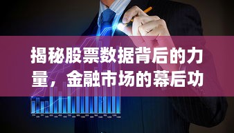 揭秘股票數(shù)據(jù)背后的力量，金融市場(chǎng)的幕后功臣