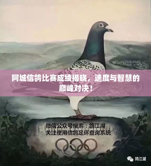 阿城信鴿比賽成績(jī)揭曉，速度與智慧的巔峰對(duì)決！