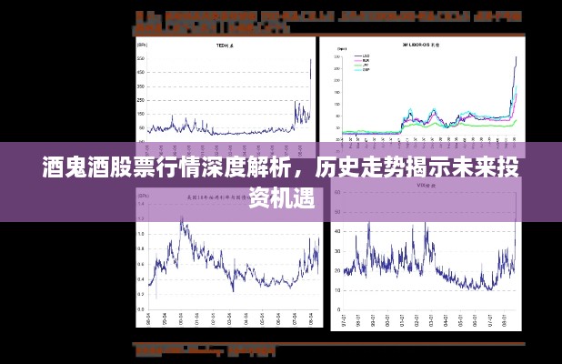 酒鬼酒股票行情深度解析，歷史走勢揭示未來投資機(jī)遇