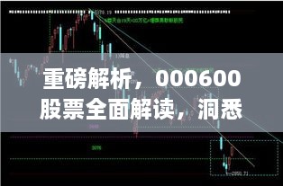 重磅解析，000600股票全面解讀，洞悉投資趨勢！