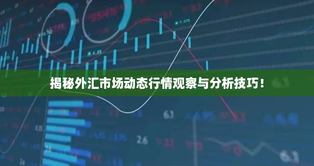 揭秘外匯市場動態(tài)行情觀察與分析技巧！