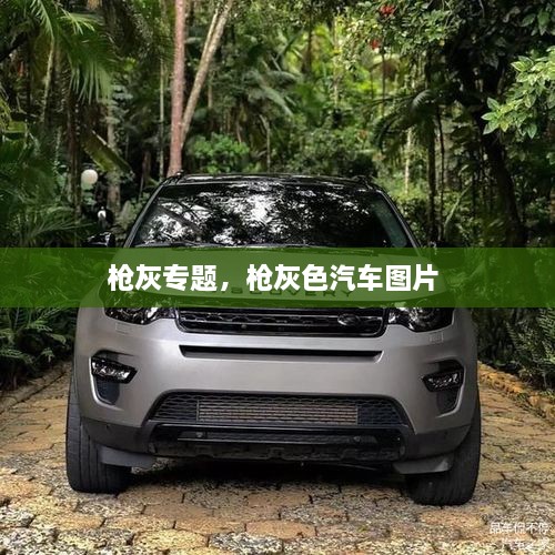 槍灰專題，槍灰色汽車圖片 