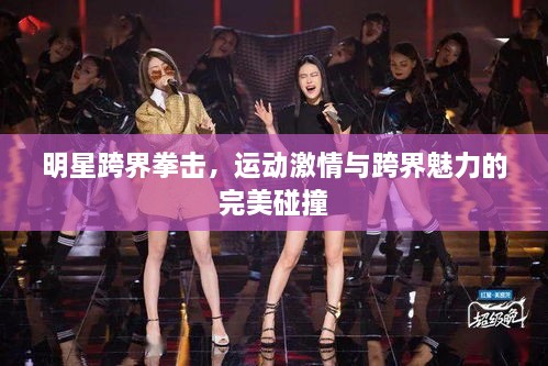 明星跨界拳擊，運動激情與跨界魅力的完美碰撞