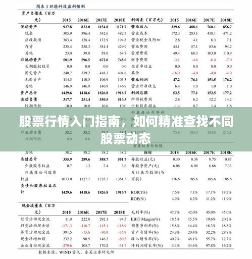 股票行情入門指南，如何精準(zhǔn)查找不同股票動(dòng)態(tài)