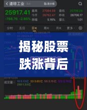 揭秘股票跌漲背后的風(fēng)險(xiǎn)與策略，如何巧妙應(yīng)對(duì)股市波動(dòng)？
