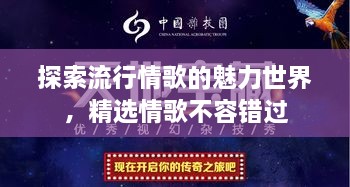 探索流行情歌的魅力世界，精選情歌不容錯(cuò)過