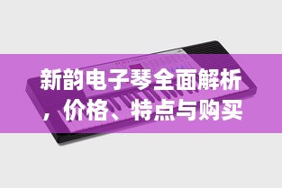 新韻電子琴全面解析，價(jià)格、特點(diǎn)與購買建議