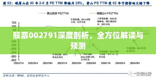 股票002791深度剖析，全方位解讀與預測