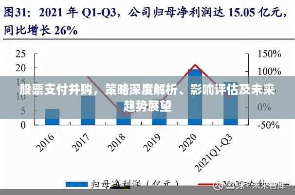 股票支付并購，策略深度解析、影響評估及未來趨勢展望